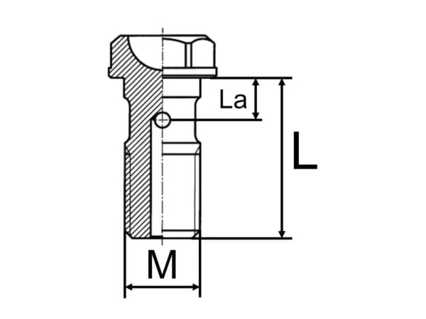 Banjopultti M10x1,0 Grimeca (21mm)
